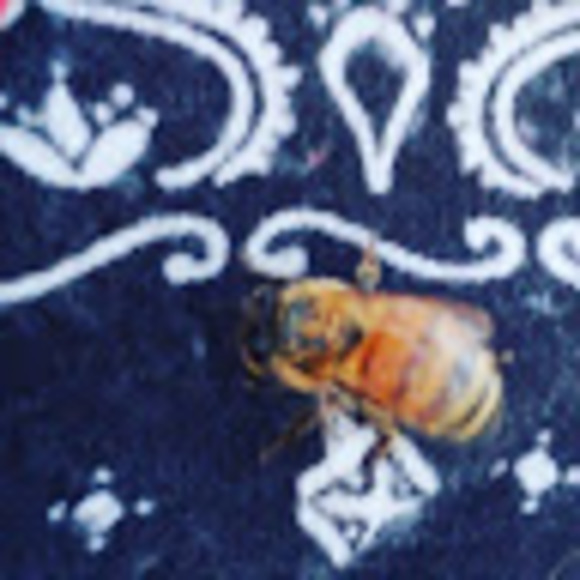 Meet your Posher, Lady - Picture 1 of 1